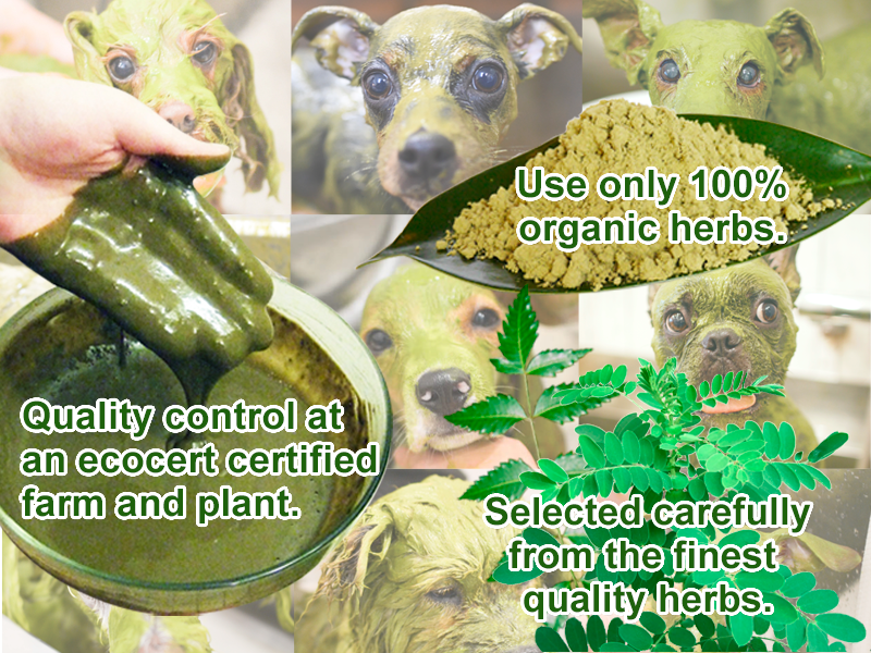 Animal Ayurveda | Natural care products for pets. Organic Herb Pack makes  skin clean and healthy.