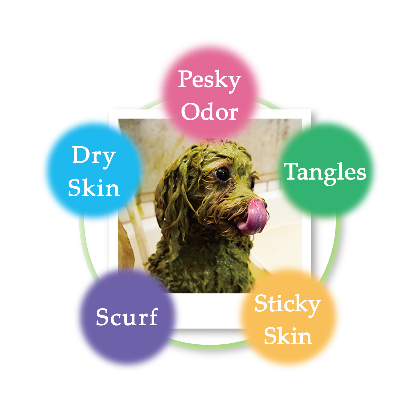 Animal Ayurveda Natural care products for pets. Organic Herb Pack