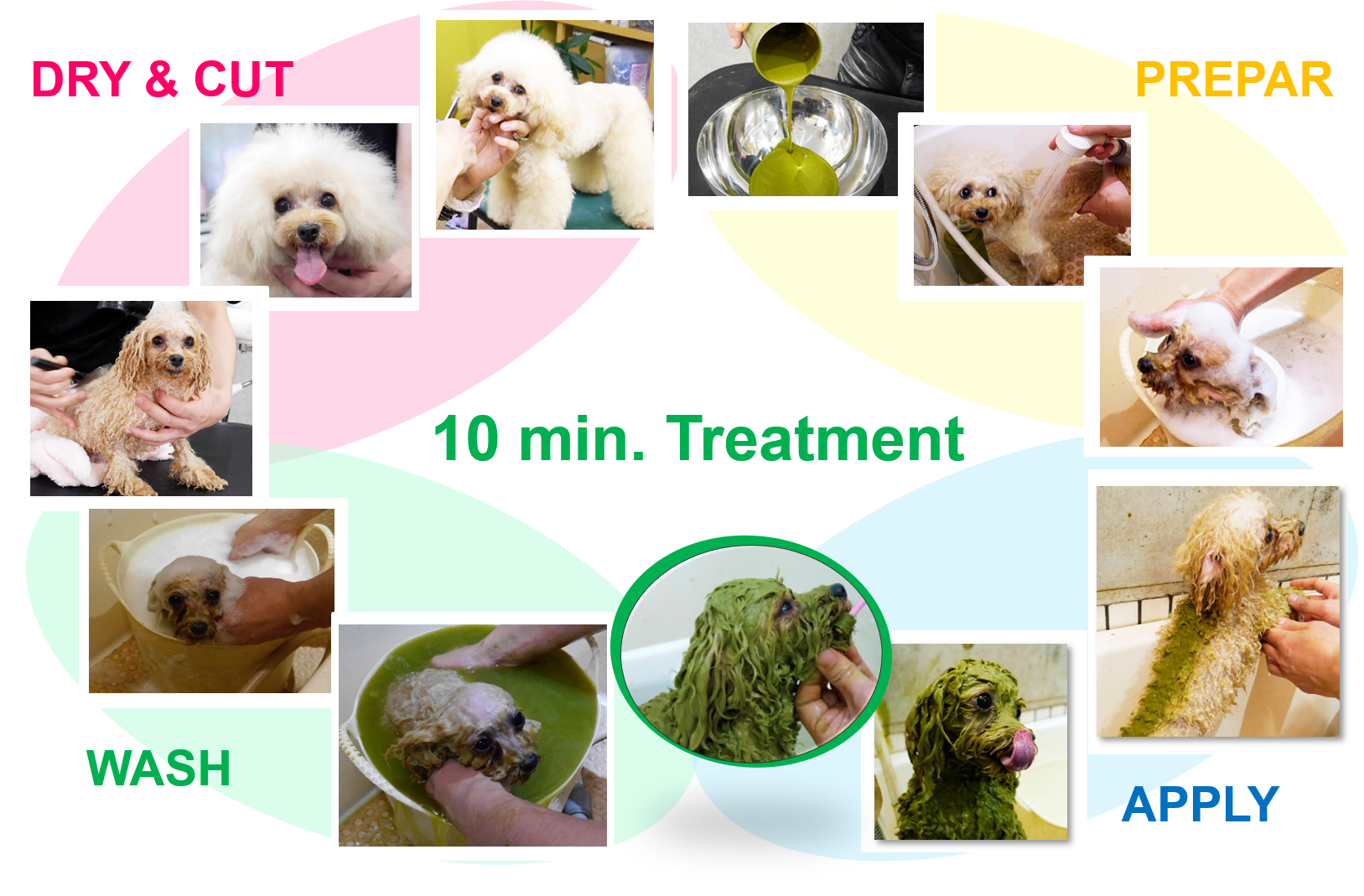 10 min. Treatment | Animal Ayurveda
